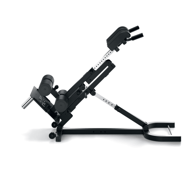 Freak Athlete Nordic Hyperextension Reviews 21