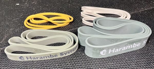 Harambe Bands System - Image 6