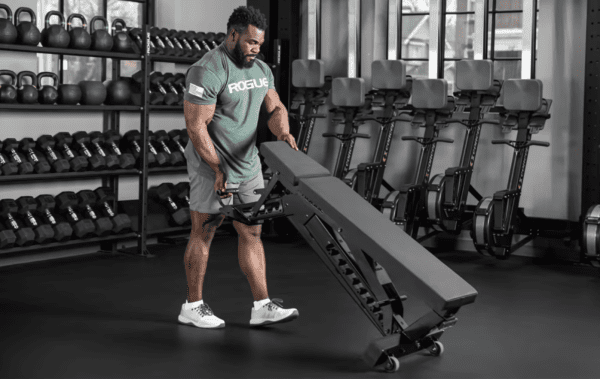 Rogue Manta Ray Bench - Image 8