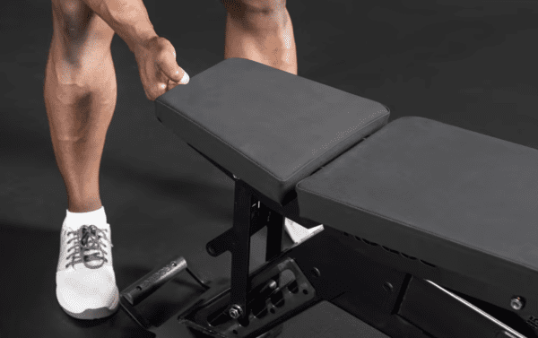 Rogue Manta Ray Bench - Image 6