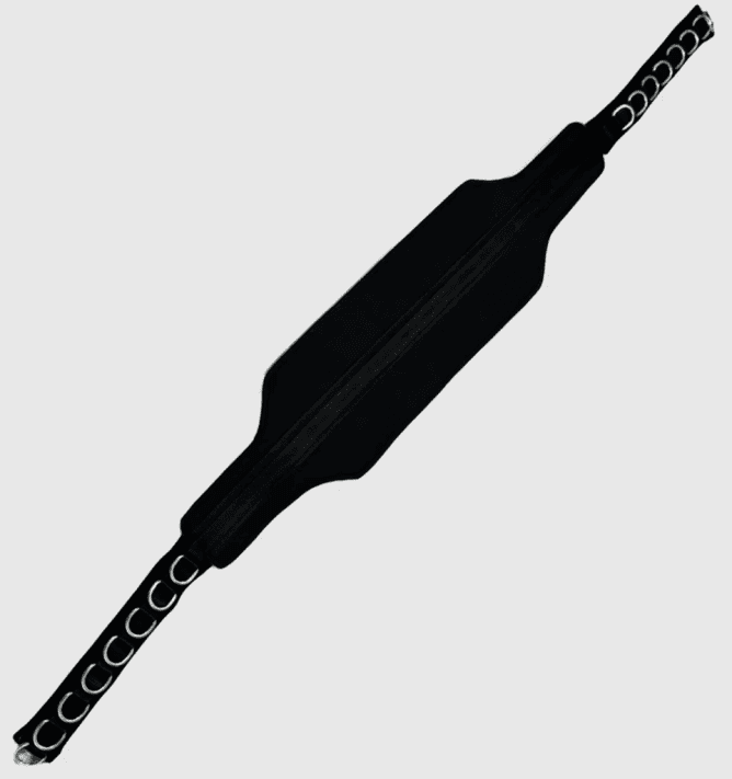 Bulletproof Cloud 9 Belt Squat Belt Launches - THICK Belt Squat